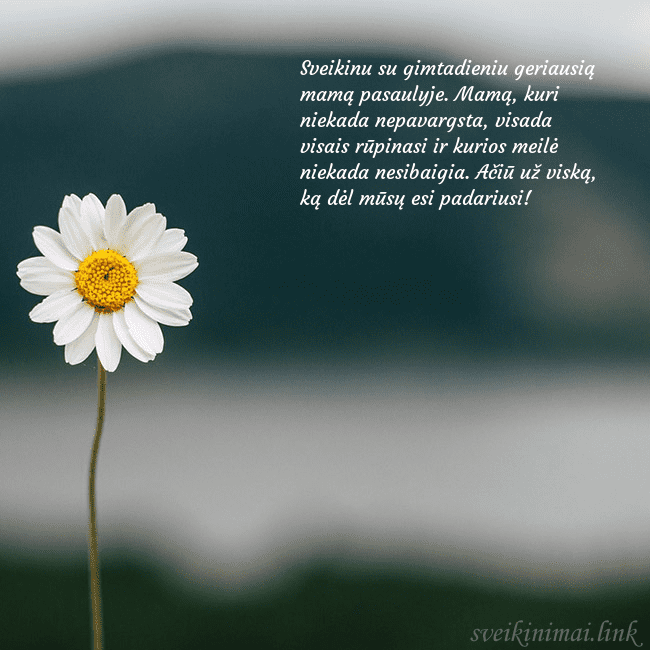 Elektroninis atvirukas su ramune Sveikinu su gimtadieniu geriausią mamą pasaulyje.  Elektroninis atvirukas su ramune