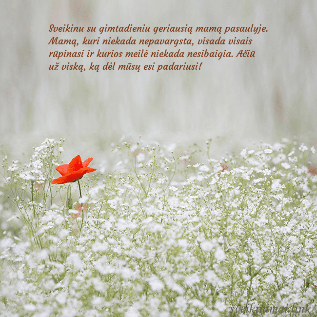 Elektroninis gimtadienio atvirukas su baltomis gėlėmis Sveikinu su gimtadieniu geriausią mamą pasaulyje. Elektroninis gimtadienio atvirukas su baltomis gėlėmis