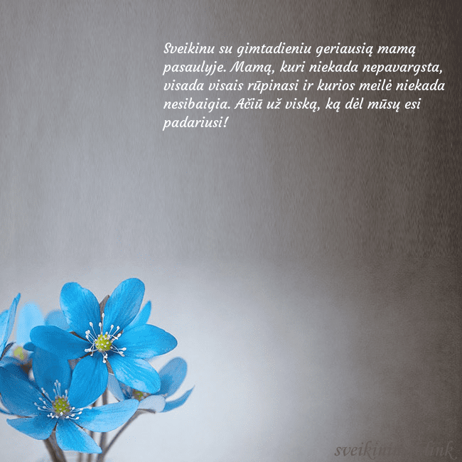 Atvirukas su žibuoklėmis Sveikinu su gimtadieniu geriausią mamą pasaulyje. Atvirukas su žibuoklėmis