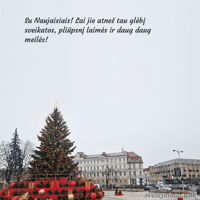 Vilniaus kalėdinė eglutė 2025