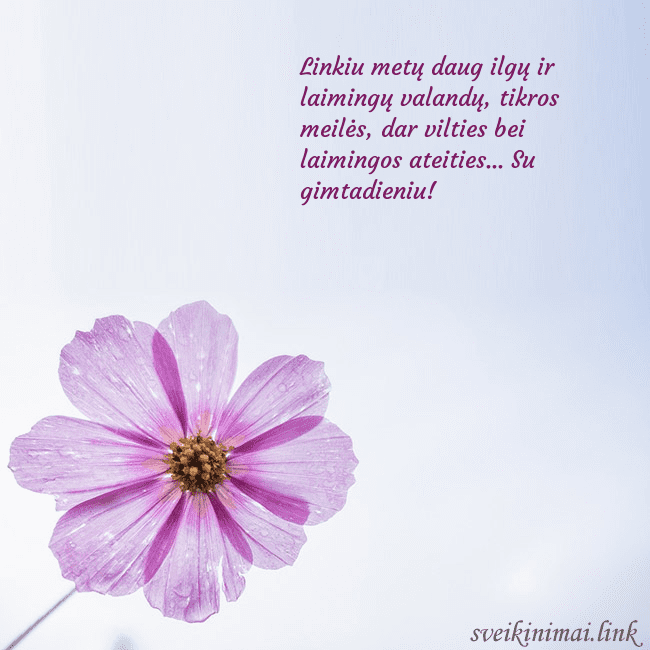 Elektroninė atvirutė su violetine gėle Linkiu metų daug ilgų ir laimingų valandų, tikros Elektroninė atvirutė su violetine gėle