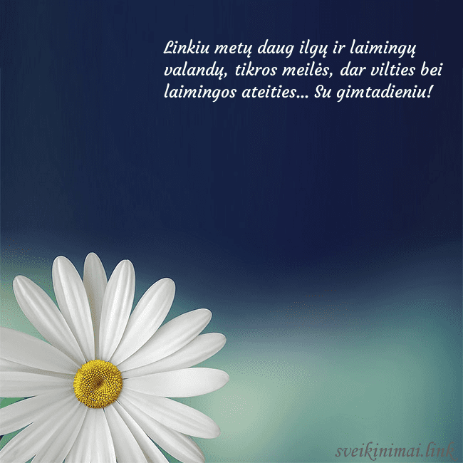 Gimtadienio atvirukas su didele ramune Linkiu metų daug ilgų ir laimingų valandų, tikros Gimtadienio atvirukas su didele ramune