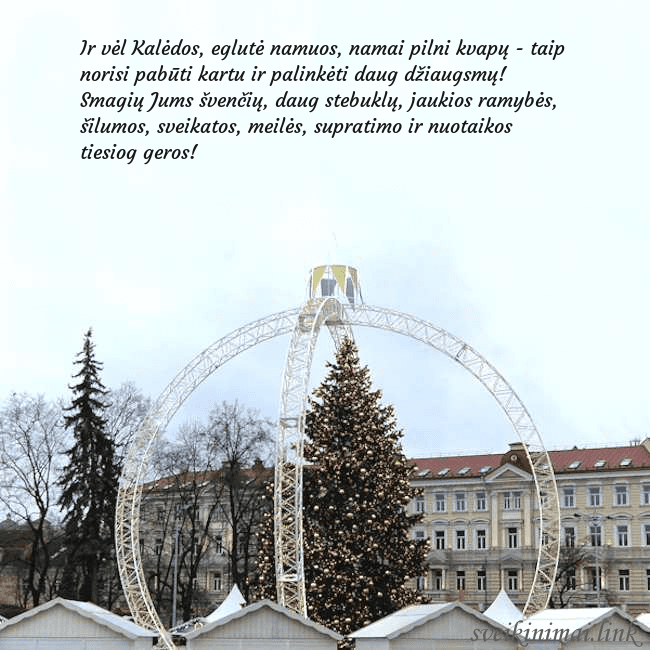 Kalėdos Vilniuje 2024 Ir vėl Kalėdos, eglutė namuos, namai pilni kvapų - Kalėdos Vilniuje 2024