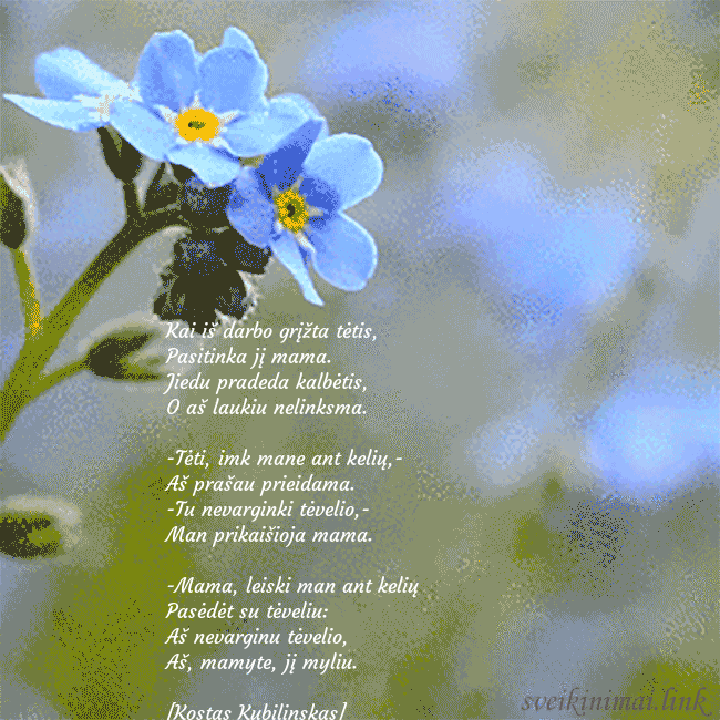 Elektroninis animuotas atvirukas su neužmirštuolėmis Kai iš darbo grįžta tėtis,
Pasitinka jį mama.
Ji Elektroninis animuotas atvirukas su neužmirštuolėmis