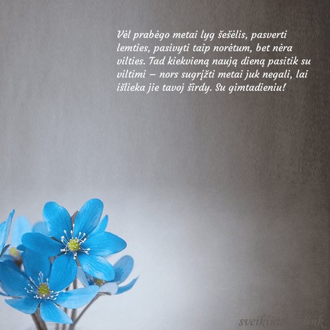Atvirukas su žibuoklėmis Vėl prabėgo metai lyg šešėlis, pasverti lemties, p Atvirukas su žibuoklėmis