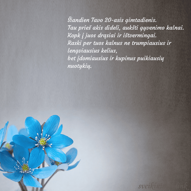 Atvirukas su žibuoklėmis Šiandien Tavo 20-asis gimtadienis.
Tau prieš akis Atvirukas su žibuoklėmis