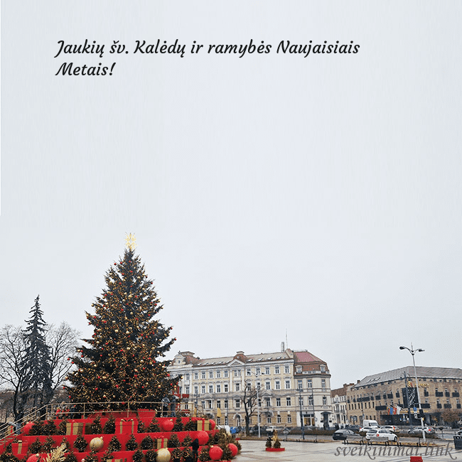 Vilniaus kalėdinė eglutė 2025