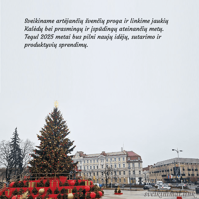 Vilniaus kalėdinė eglutė 2025