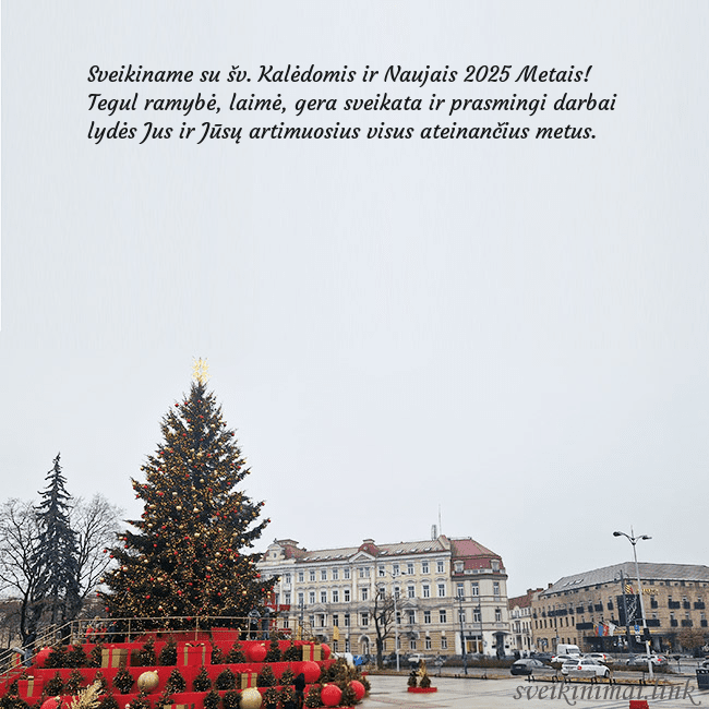 Vilniaus kalėdinė eglutė 2025