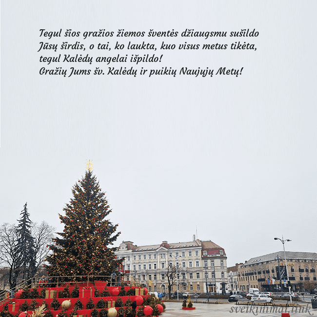 Vilniaus kalėdinė eglutė 2025 Tegul šios gražios žiemos šventės džiaugsmu sušild Vilniaus kalėdinė eglutė 2025