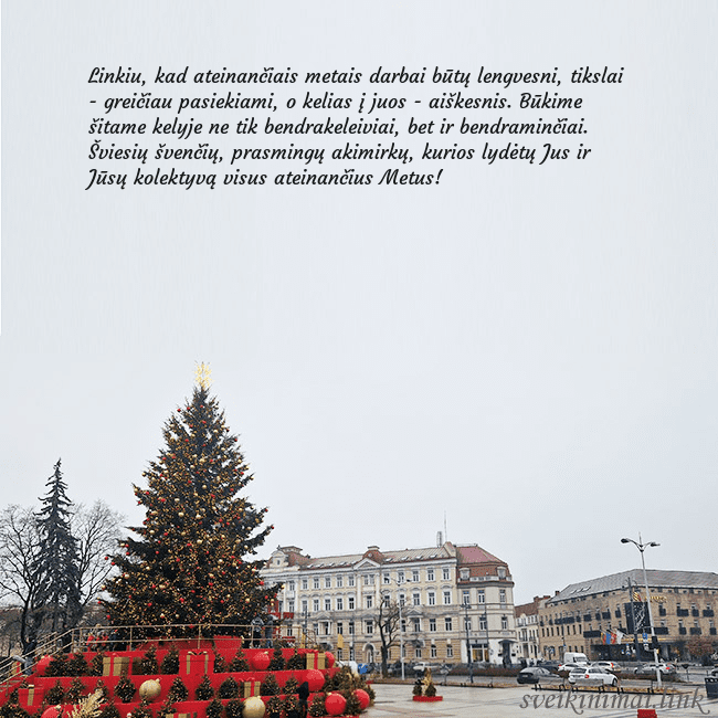 Vilniaus kalėdinė eglutė 2025