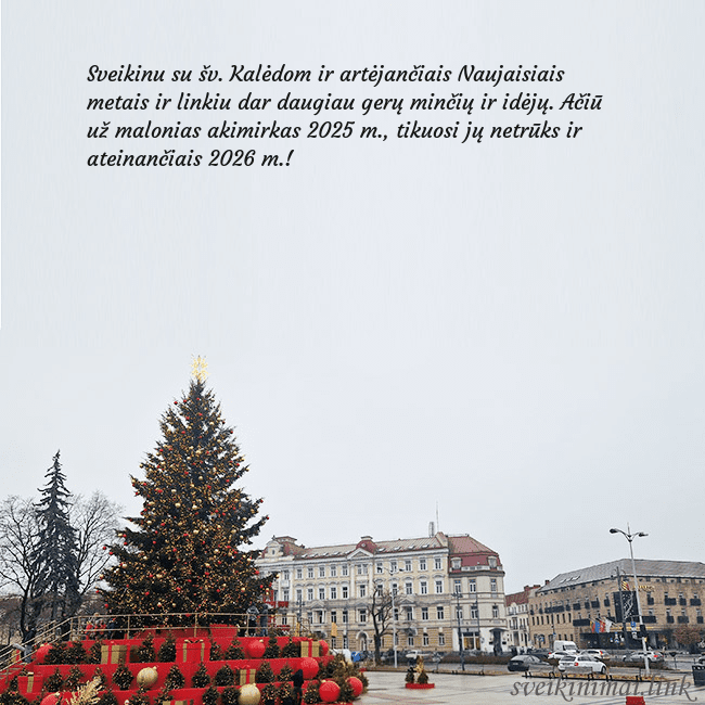 Vilniaus kalėdinė eglutė 2025