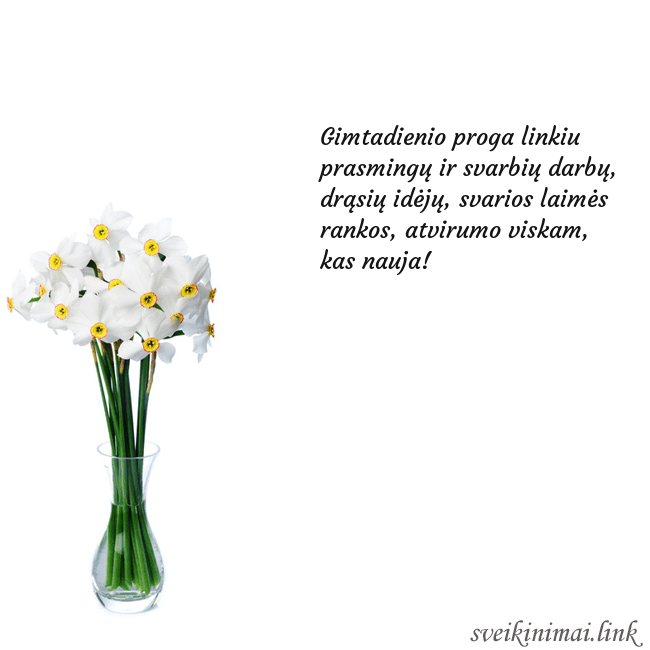 Atvirukas su narcizais