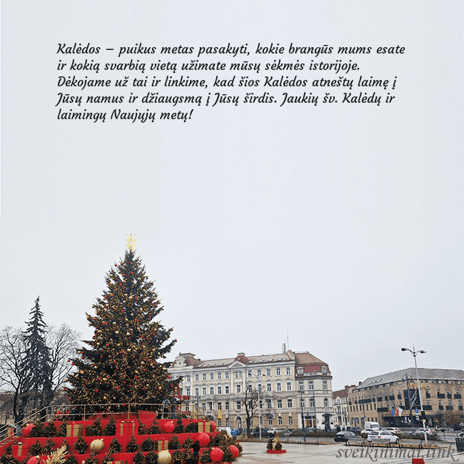 Vilniaus kalėdinė eglutė 2025