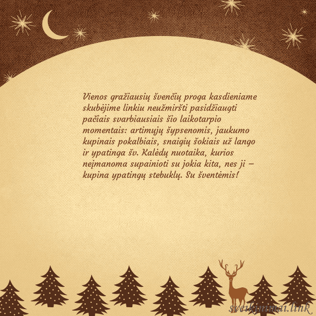 Rudas kalėdinis atvirukas su eglutėmis ir mėnuliu Vienos gražiausių švenčių proga kasdieniame skubėj Rudas kalėdinis atvirukas su eglutėmis ir mėnuliu