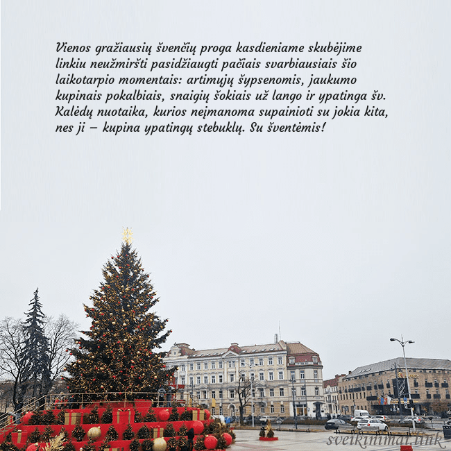 Vilniaus kalėdinė eglutė 2025