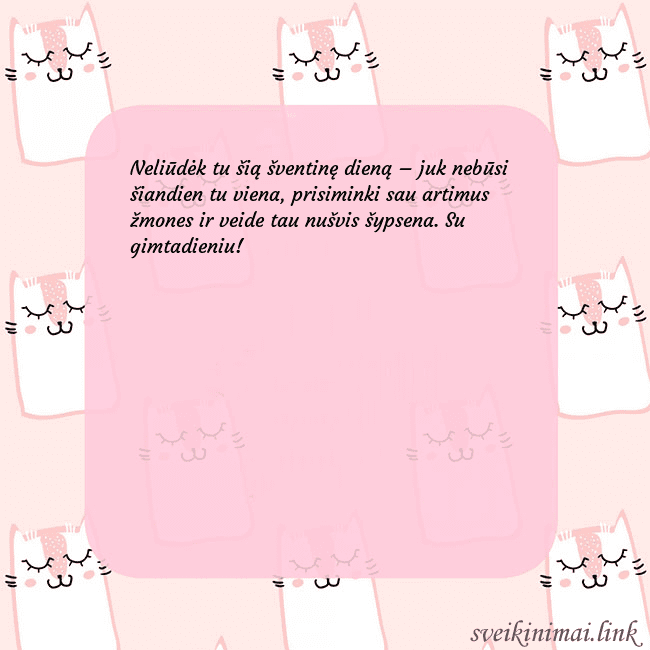 Rožinis gimtadienio atvirukas su juokingais katinais