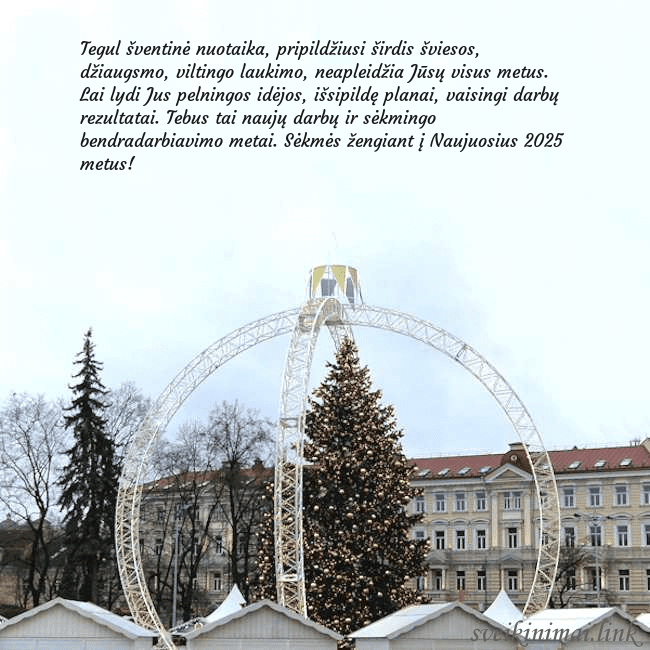 Kalėdos Vilniuje 2024 Tegul šventinė nuotaika, pripildžiusi širdis švies Kalėdos Vilniuje 2024