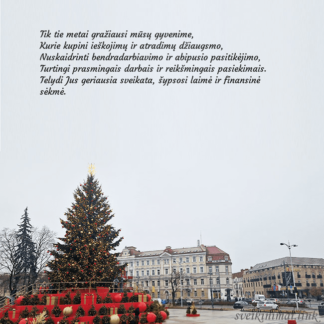 Vilniaus kalėdinė eglutė 2025