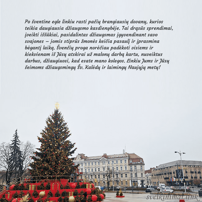 Vilniaus kalėdinė eglutė 2025