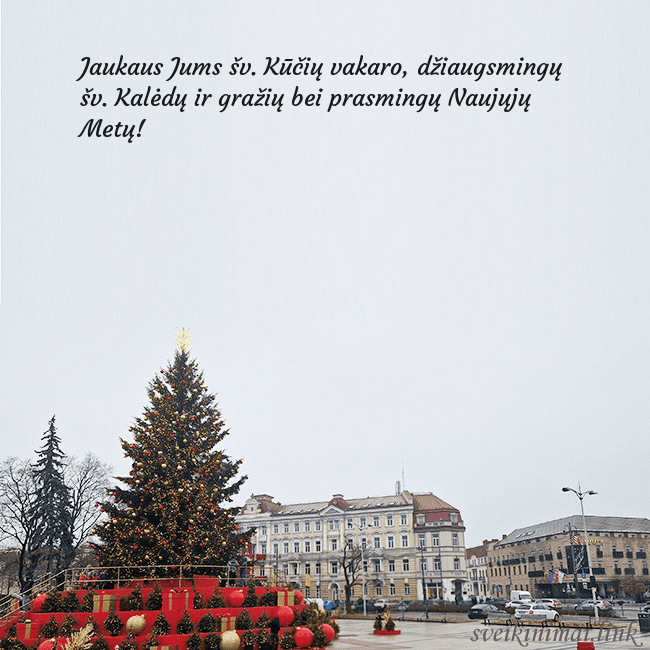 Vilniaus kalėdinė eglutė 2025