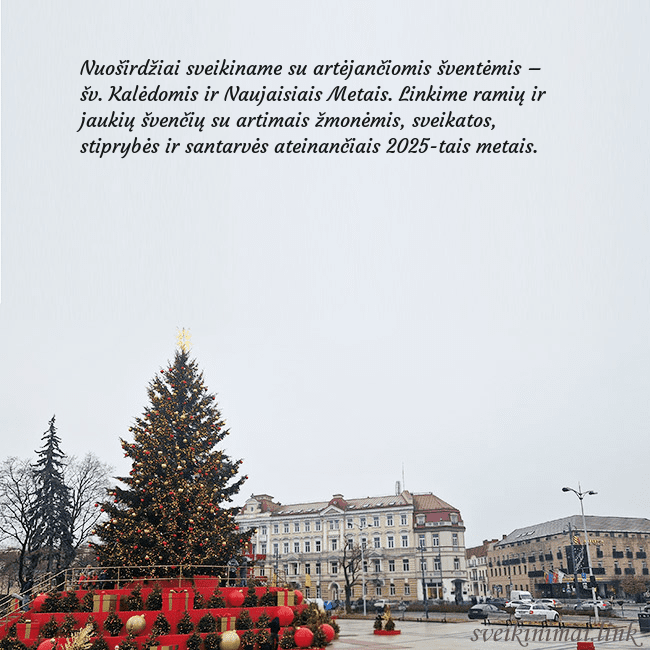 Vilniaus kalėdinė eglutė 2025