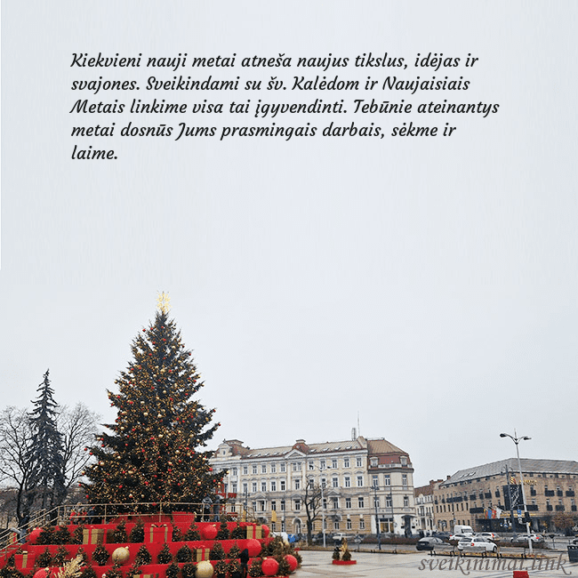 Vilniaus kalėdinė eglutė 2025