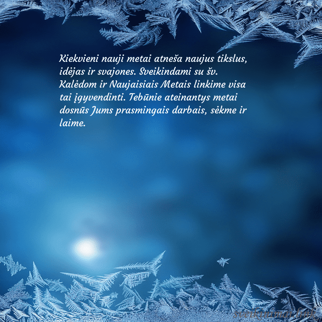 Žiemos speigas Kiekvieni nauji metai atneša naujus tikslus, idėja Žiemos speigas