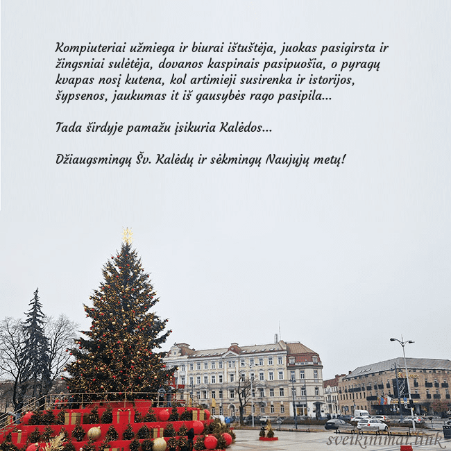 Vilniaus kalėdinė eglutė 2025