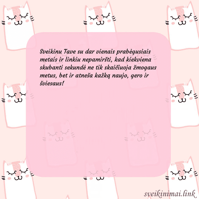 Rožinis gimtadienio atvirukas su juokingais katinais Sveikinu Tave su dar vienais prabėgusiais metais i Rožinis gimtadienio atvirukas su juokingais katinais