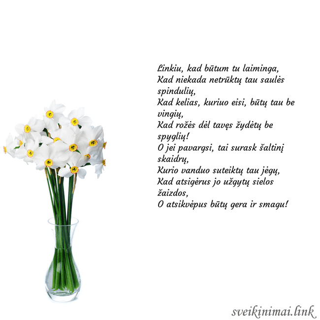 Atvirukas su narcizais