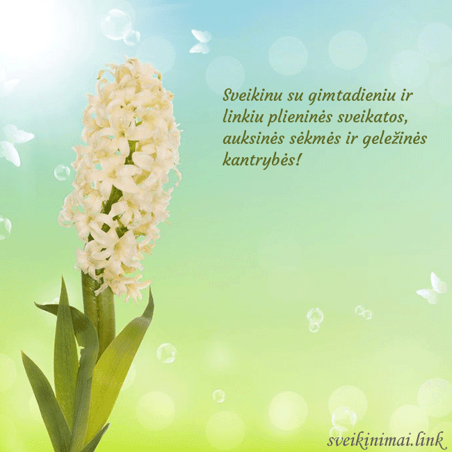 Atvirukas su hiacintu
