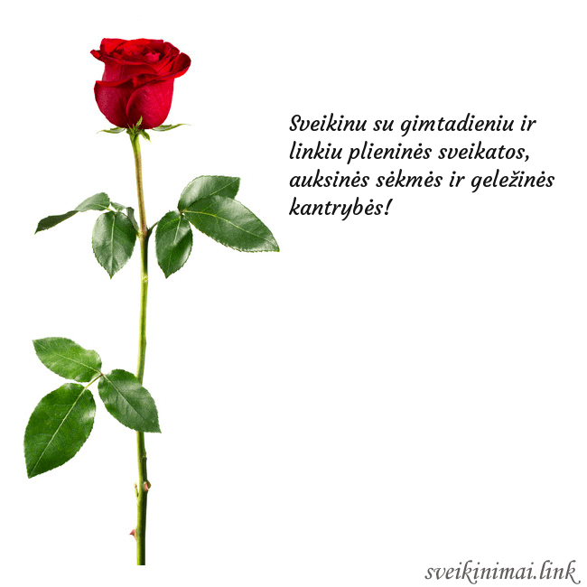 Atvirukas su raudona rože