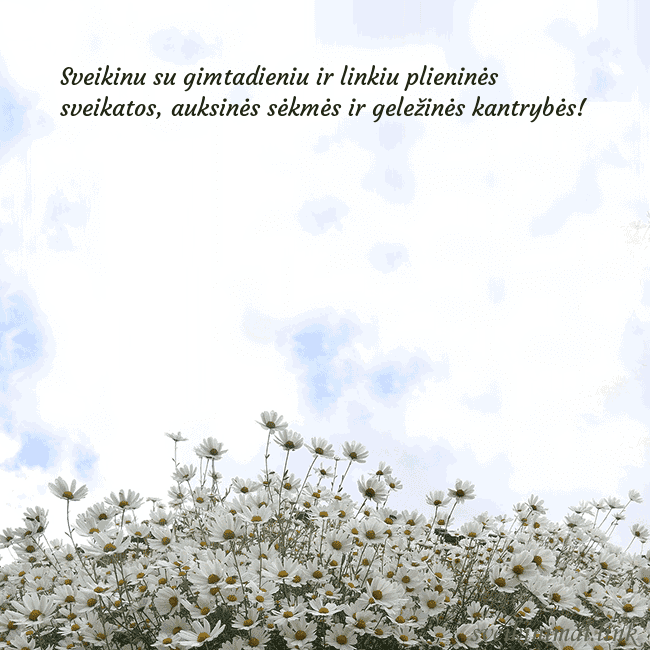 Atvirukas su ramunėmis