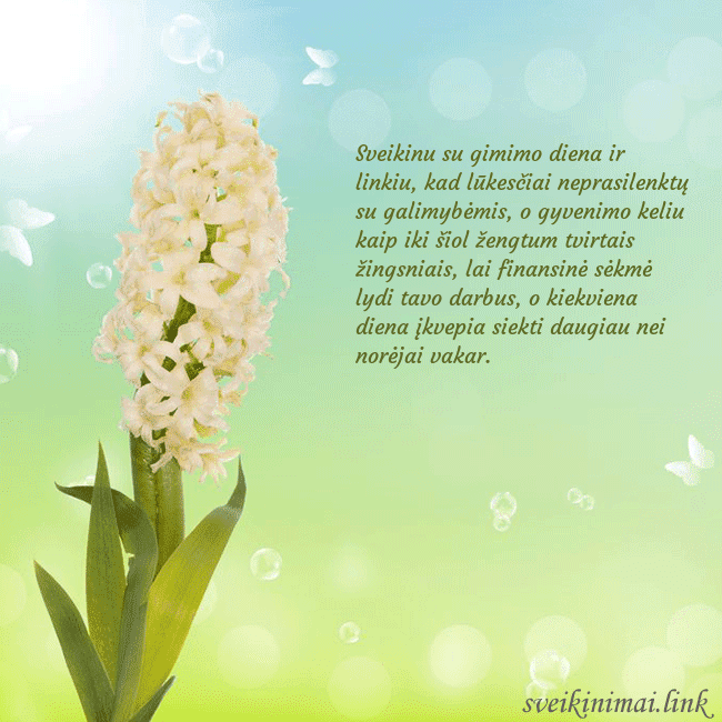 Atvirukas su hiacintu