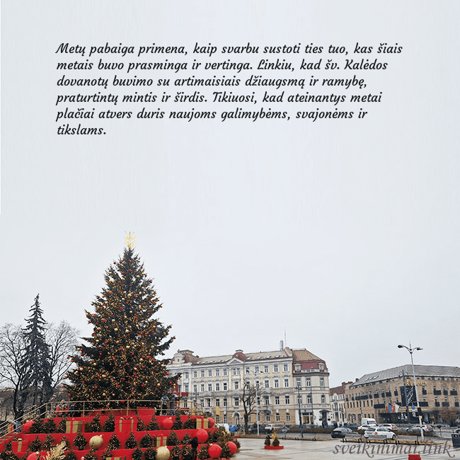 Vilniaus kalėdinė eglutė 2025