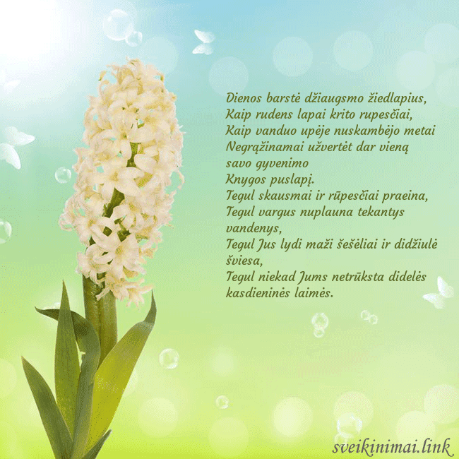 Atvirukas su hiacintu