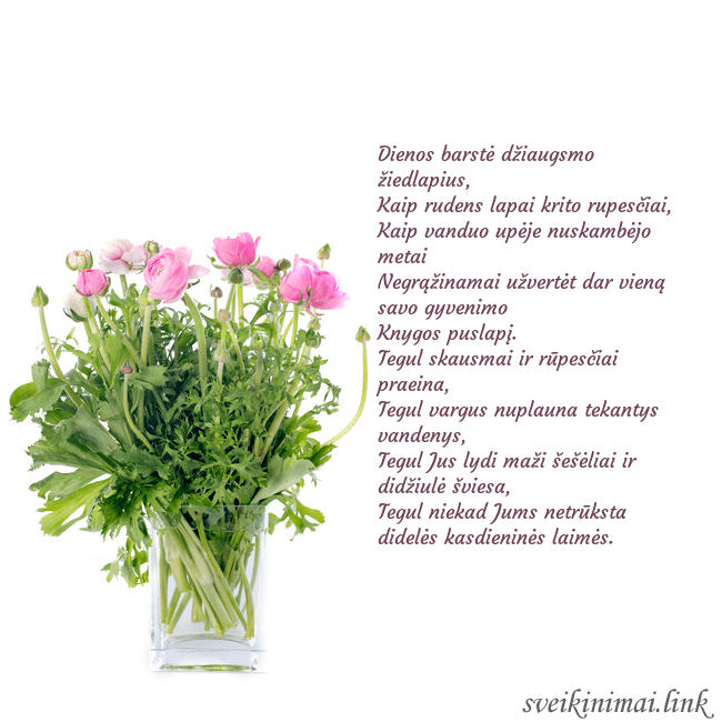 Atvirukas su gėlėmis vazoje