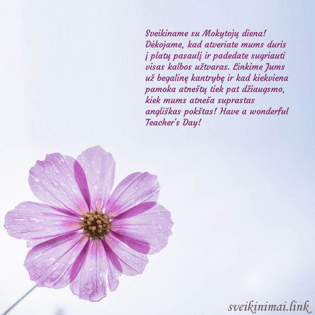 Elektroninė atvirutė su violetine gėle Sveikiname su Mokytojų diena! Dėkojame, kad atveri Elektroninė atvirutė su violetine gėle