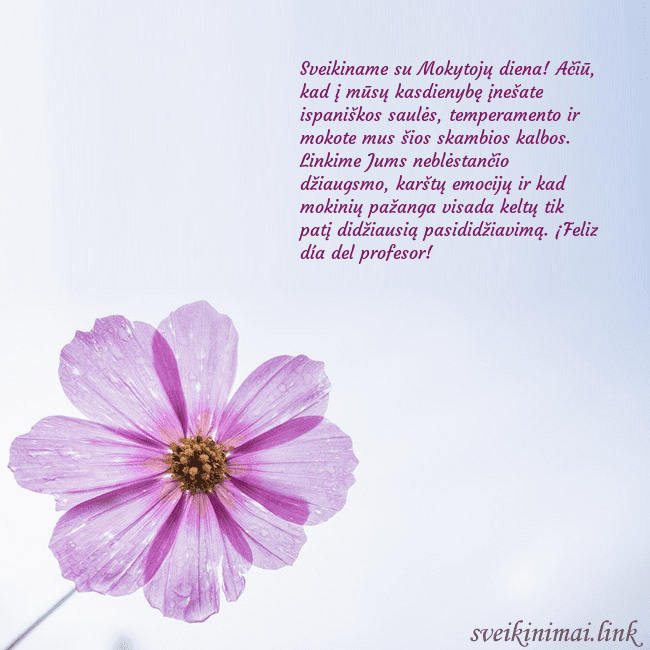 Elektroninė atvirutė su violetine gėle Sveikiname su Mokytojų diena! Ačiū, kad į mūsų kas Elektroninė atvirutė su violetine gėle