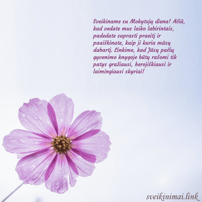 Elektroninė atvirutė su violetine gėle Sveikiname su Mokytojų diena! Ačiū, kad vedate mus Elektroninė atvirutė su violetine gėle