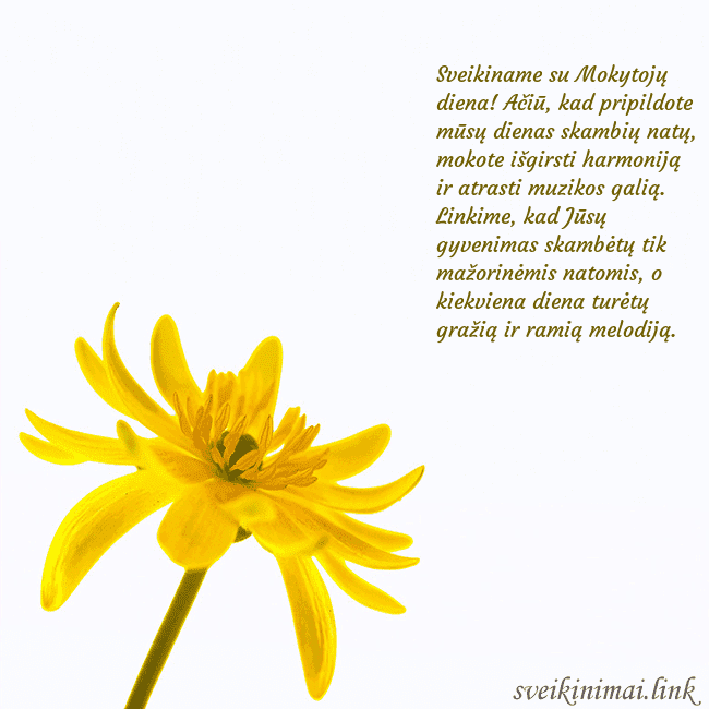 Atvirukas su geltona gėle