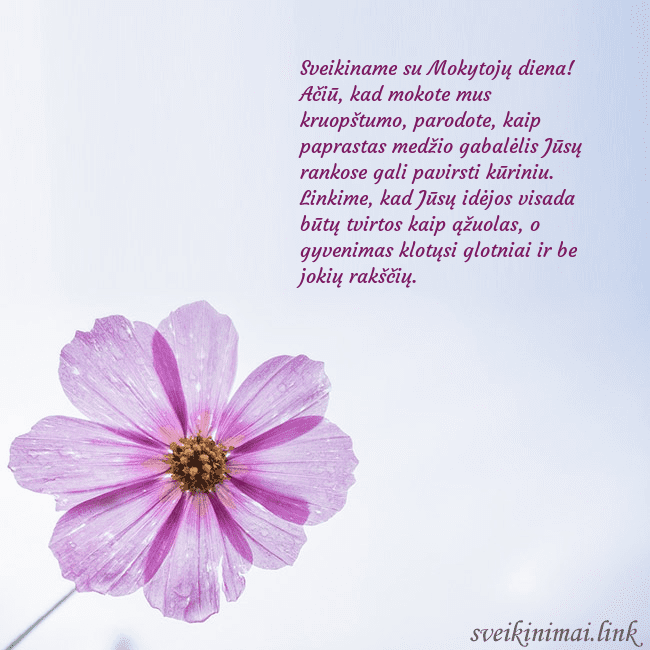 Elektroninė atvirutė su violetine gėle Sveikiname su Mokytojų diena! Ačiū, kad mokote mus Elektroninė atvirutė su violetine gėle