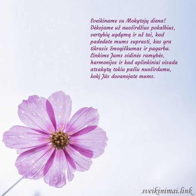 Elektroninė atvirutė su violetine gėle Sveikiname su Mokytojų diena! Dėkojame už nuoširdž Elektroninė atvirutė su violetine gėle