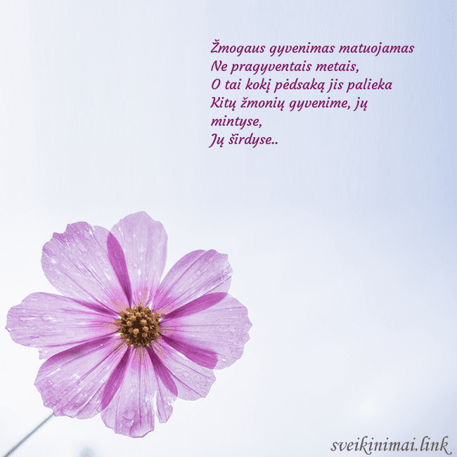 Elektroninė atvirutė su violetine gėle Žmogaus gyvenimas matuojamas
Ne pragyventais metai Elektroninė atvirutė su violetine gėle