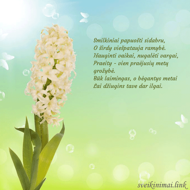 Atvirukas su hiacintu Smilkiniai papuošti sidabru,
O širdy viešpatauja Atvirukas su hiacintu