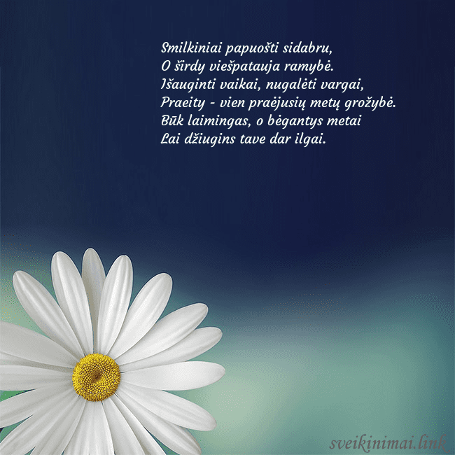 Gimtadienio atvirukas su didele ramune