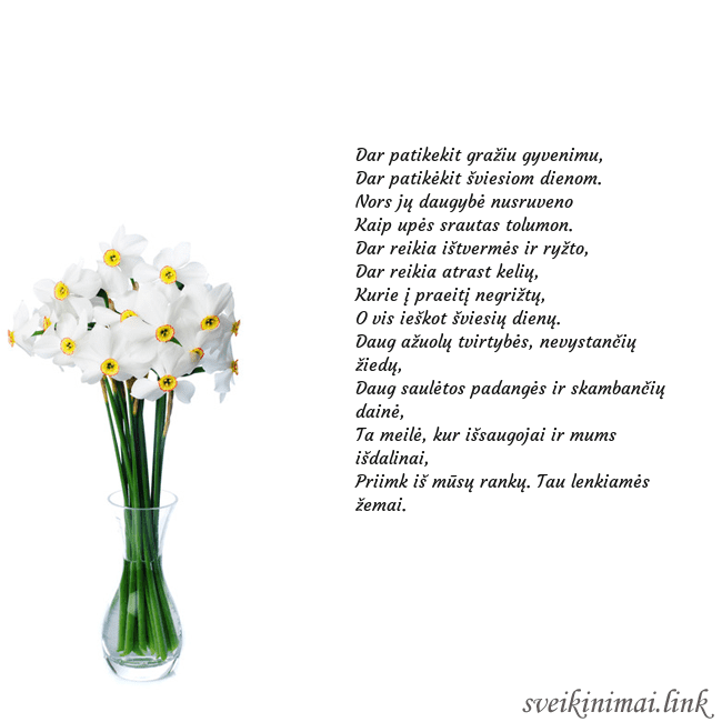 Atvirukas su narcizais