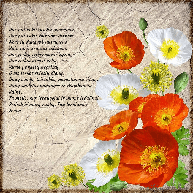 Atvirukas su aguonomis