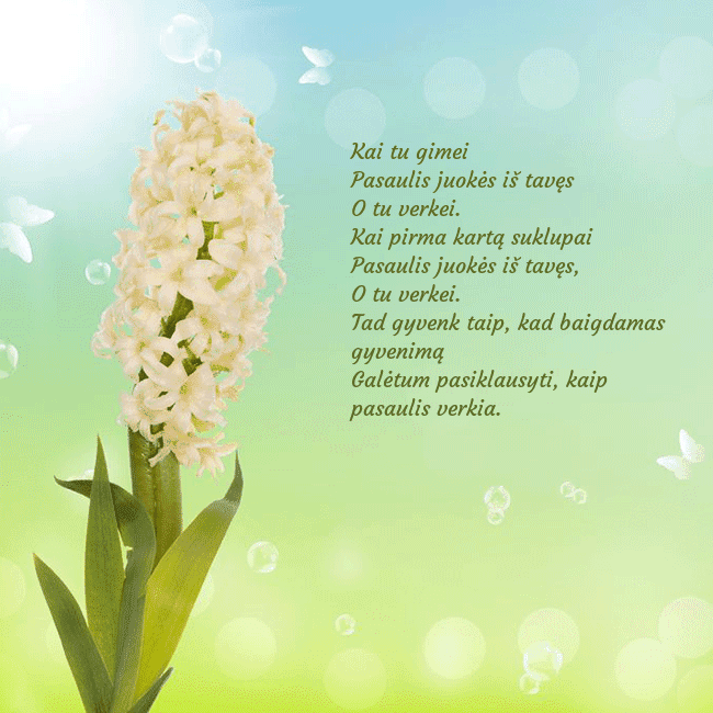Atvirukas su hiacintu